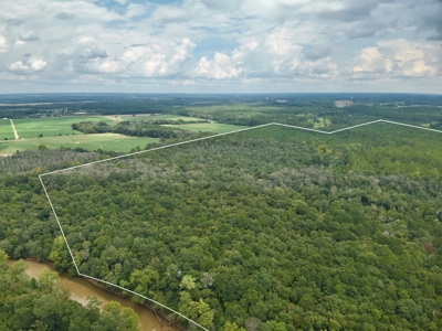 202ac Riverfront Hunting Land for Sale South Alabama - image 24