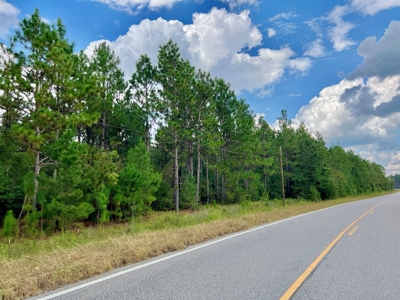 202ac Riverfront Hunting Land for Sale South Alabama - image 19