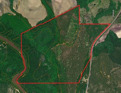 202ac Riverfront Hunting Land for Sale South Alabama - image 39