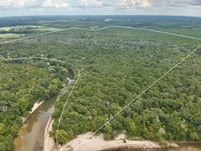 202ac Riverfront Hunting Land for Sale South Alabama - image 3