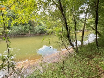 202ac Riverfront Hunting Land for Sale South Alabama - image 34