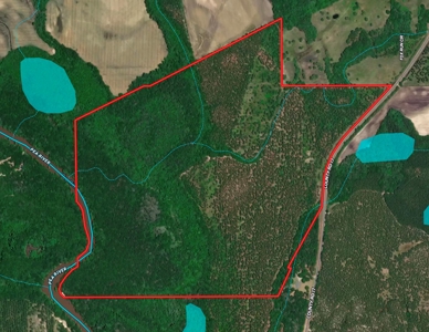 202ac Riverfront Hunting Land for Sale South Alabama - image 12