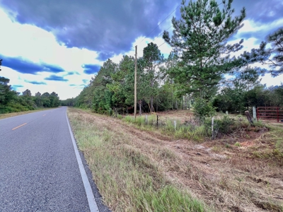 202ac Riverfront Hunting Land for Sale South Alabama - image 35