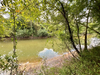 202ac Riverfront Hunting Land for Sale South Alabama - image 2