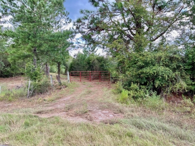 202ac Riverfront Hunting Land for Sale South Alabama - image 8