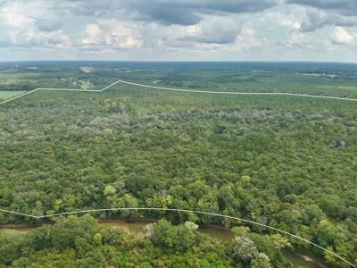 202ac Riverfront Hunting Land for Sale South Alabama - image 25