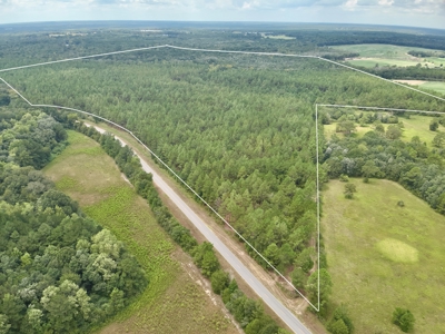 202ac Riverfront Hunting Land for Sale South Alabama - image 1