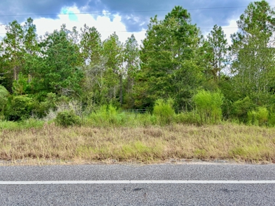 202ac Riverfront Hunting Land for Sale South Alabama - image 29