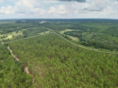 202ac Riverfront Hunting Land for Sale South Alabama - image 26