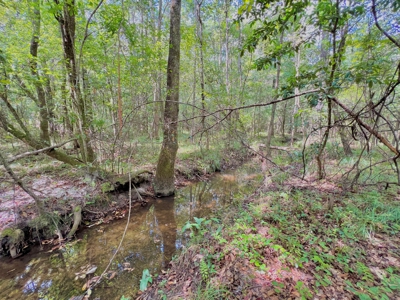 202ac Riverfront Hunting Land for Sale South Alabama - image 44