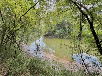 202ac Riverfront Hunting Land for Sale South Alabama - image 31