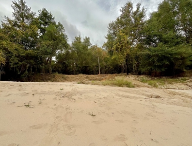 202ac Riverfront Hunting Land for Sale South Alabama - image 46