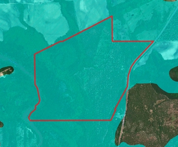 202ac Riverfront Hunting Land for Sale South Alabama - image 41