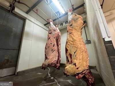 Highly Profitable Abattoir - image 24