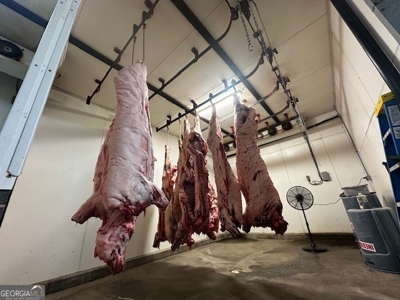 Highly Profitable Abattoir - image 23