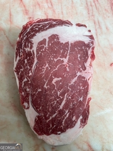 Highly Profitable Abattoir - image 34