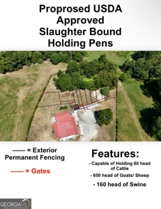 Highly Profitable Abattoir - image 15