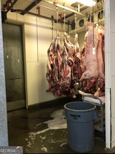 Highly Profitable Abattoir - image 33