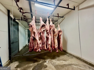 Highly Profitable Abattoir - image 32
