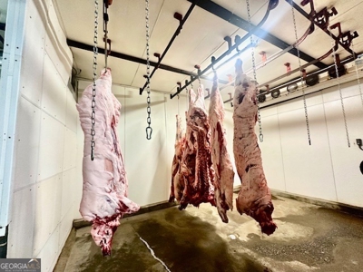 Highly Profitable Abattoir - image 25