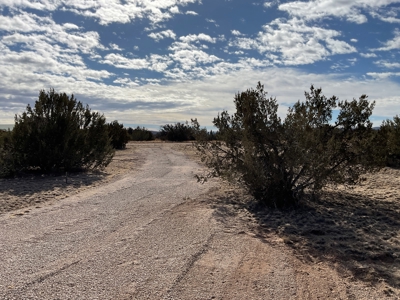 Land on Paved Road, Power, and Septic Permit, Seligman AZ - image 5