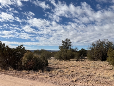 Land on Paved Road, Power, and Septic Permit, Seligman AZ - image 12