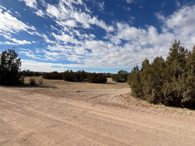 Land on Paved Road, Power, and Septic Permit, Seligman AZ - image 10