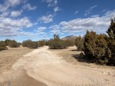 Land on Paved Road, Power, and Septic Permit, Seligman AZ - image 7