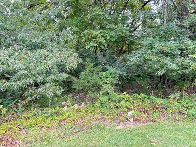 Residential Building lots for sale Ash Flat, AR - image 2