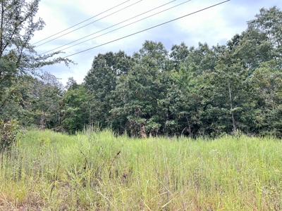 Residential Building lots for sale Ash Flat, AR - image 4