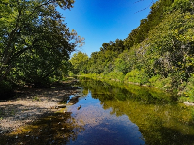 Cattle Farm For Sale in Benton County, MO - image 44