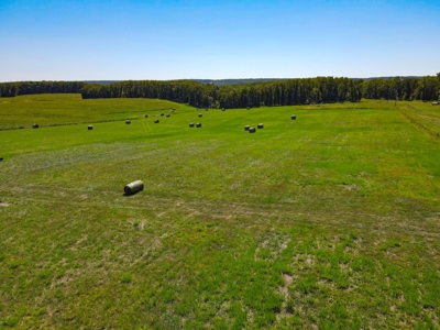 Cattle Farm For Sale in Benton County, MO - image 37