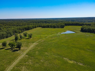 Cattle Farm For Sale in Benton County, MO - image 34