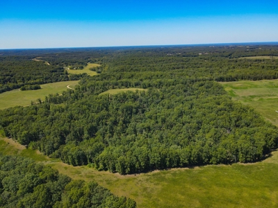 Cattle Farm For Sale in Benton County, MO - image 30