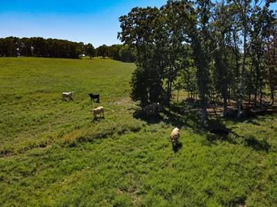 Cattle Farm For Sale in Benton County, MO - image 10