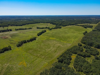 Cattle Farm For Sale in Benton County, MO - image 4