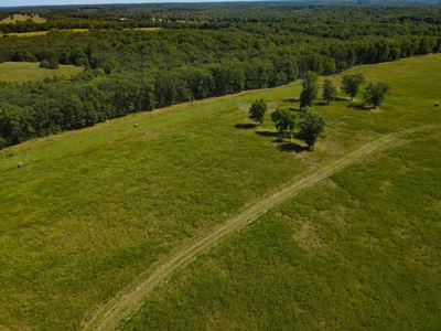 Cattle Farm For Sale in Benton County, MO - image 35