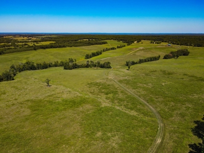 Cattle Farm For Sale in Benton County, MO - image 26