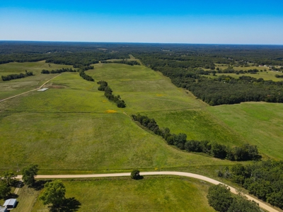 Cattle Farm For Sale in Benton County, MO - image 1