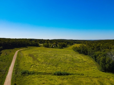 Cattle Farm For Sale in Benton County, MO - image 46