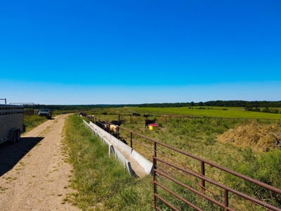 Cattle Farm For Sale in Benton County, MO - image 16