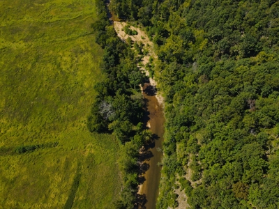 Cattle Farm For Sale in Benton County, MO - image 41