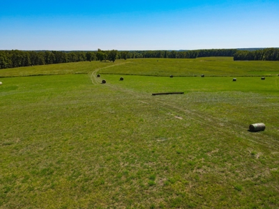 Cattle Farm For Sale in Benton County, MO - image 39