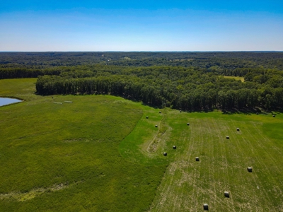 Cattle Farm For Sale in Benton County, MO - image 33