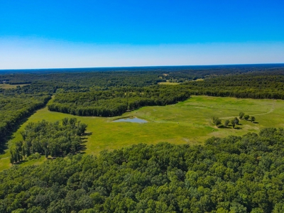 Cattle Farm For Sale in Benton County, MO - image 29