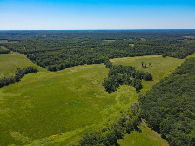 Cattle Farm For Sale in Benton County, MO - image 6