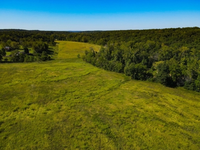 Cattle Farm For Sale in Benton County, MO - image 48
