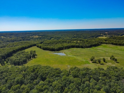 Cattle Farm For Sale in Benton County, MO - image 28