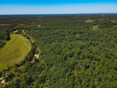 Cattle Farm For Sale in Benton County, MO - image 42