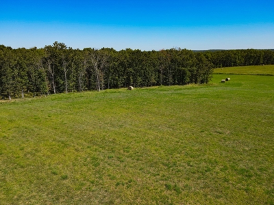 Cattle Farm For Sale in Benton County, MO - image 38